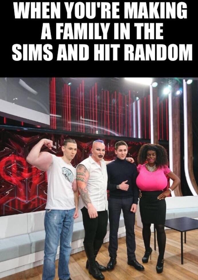 sims family - meme