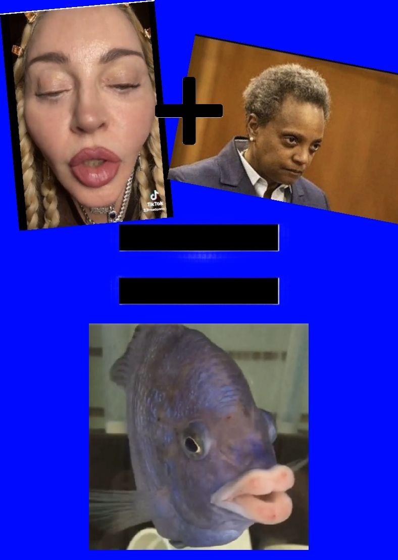 The madona fish - meme