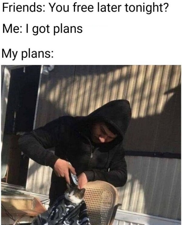 Plans - meme