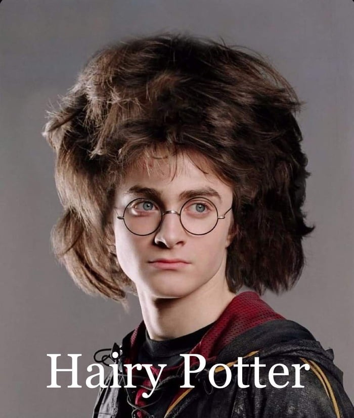 Hairy Potter - meme
