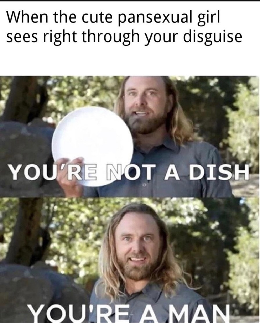 The Latest Memes ) Memedroid