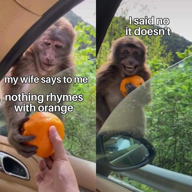 Nothing rhymes with orange - meme