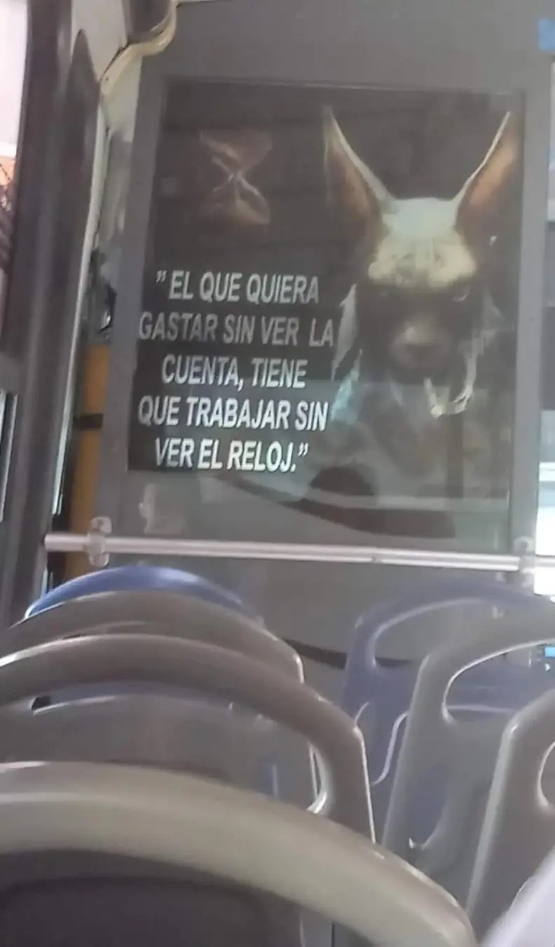 Aguinalmeda - meme