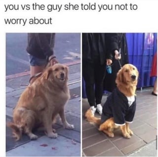 Very elegant yes - meme