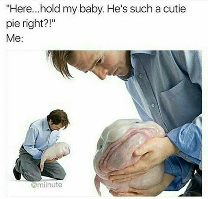 I hate babies - meme