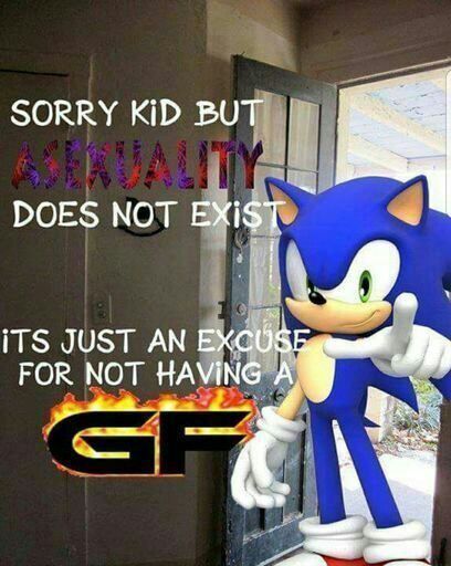 Sonic Sez - meme