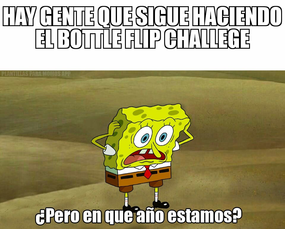 Bottle filp challenge - meme