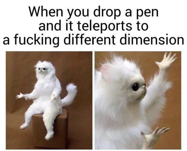 Wehn you drop a pen and it teleports to a fucking different dimension - meme