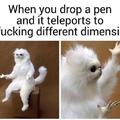 Wehn you drop a pen and it teleports to a fucking different dimension