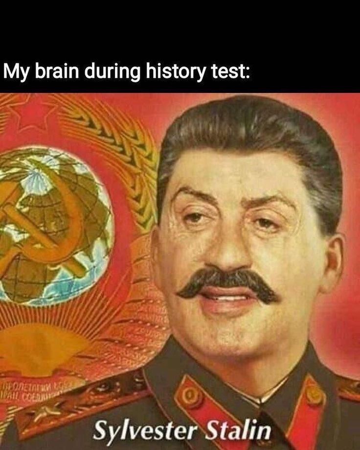 Mi cerebro durante el examen de historia - meme