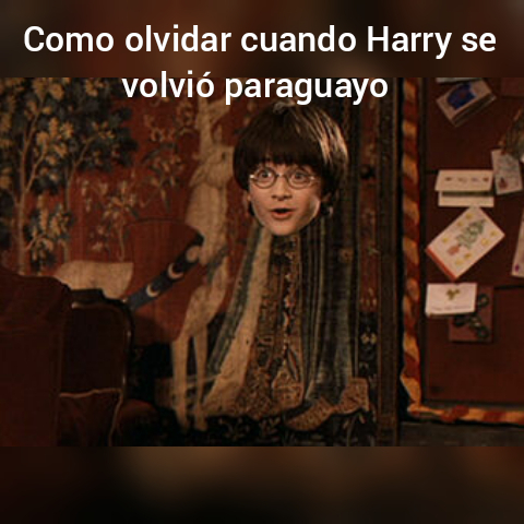 Harry paraguayo - meme