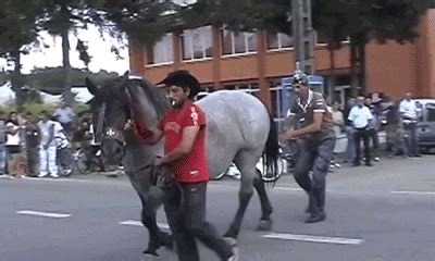 Instant Karma - The backside of a horse gets his comeuppance from the backside of a horse - meme