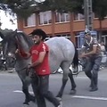 Instant Karma - The backside of a horse gets his comeuppance from the backside of a horse