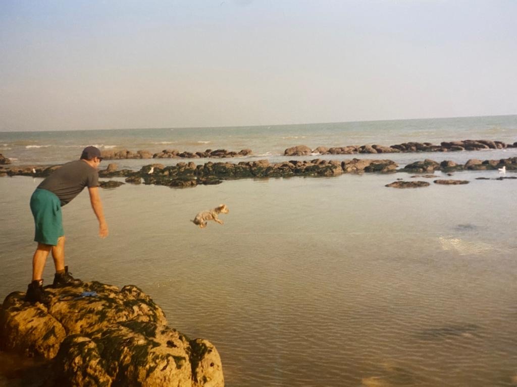 picture of my mums ex yeeting her dog off a cliff sometime in the early 90s - meme