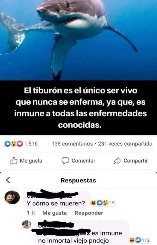 la inmunidad a las enfermedades de los tiburones - meme