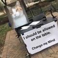 Cat change my mind meme