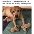 commented item thumbnail