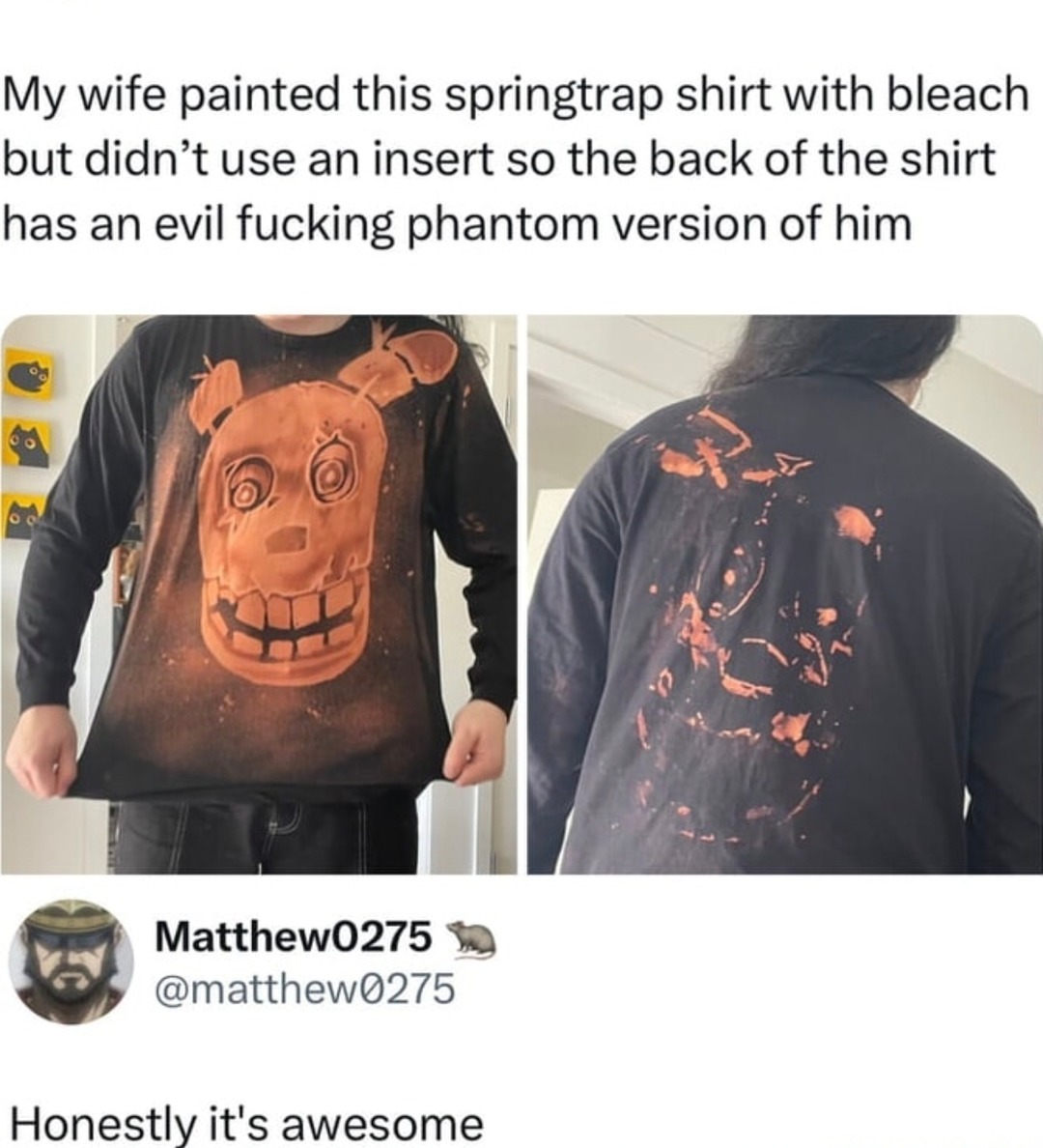 She painted Springtrap and accidentally summoned his evil twin - meme