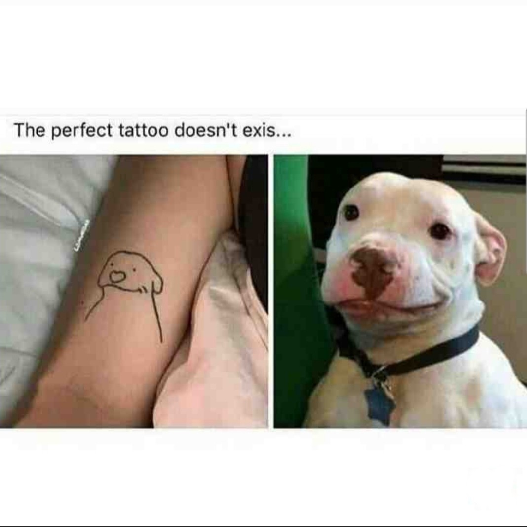 Le tatouage parfait n'exist... - meme