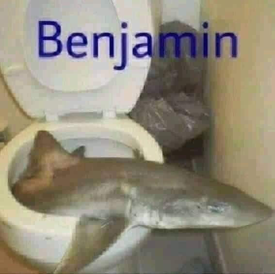 Benjamín - meme