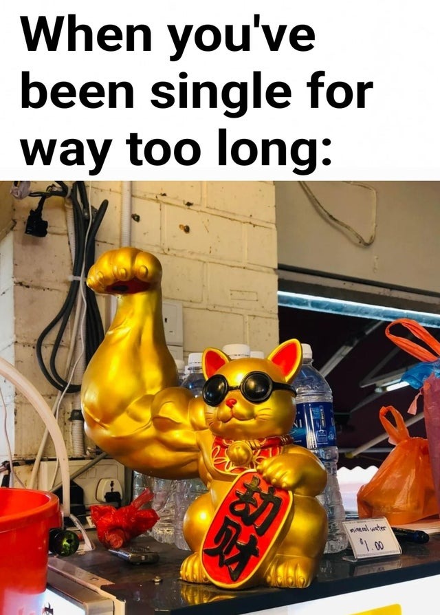when you've been single for way too long - meme