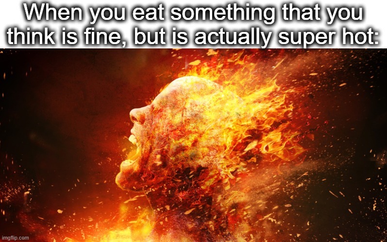 the foods not that hot the fucking food - meme