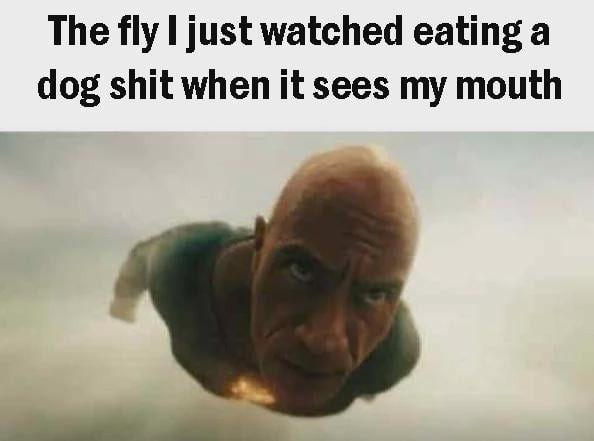 Fly with a mission - meme