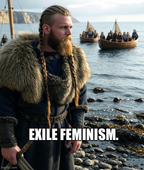 Better to live on a roof than in a house with a feminist. - meme