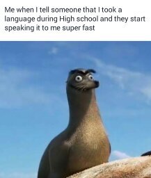 What language did you guys take and how many do you know ? - meme