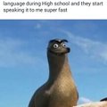 What language did you guys take and how many do you know ?