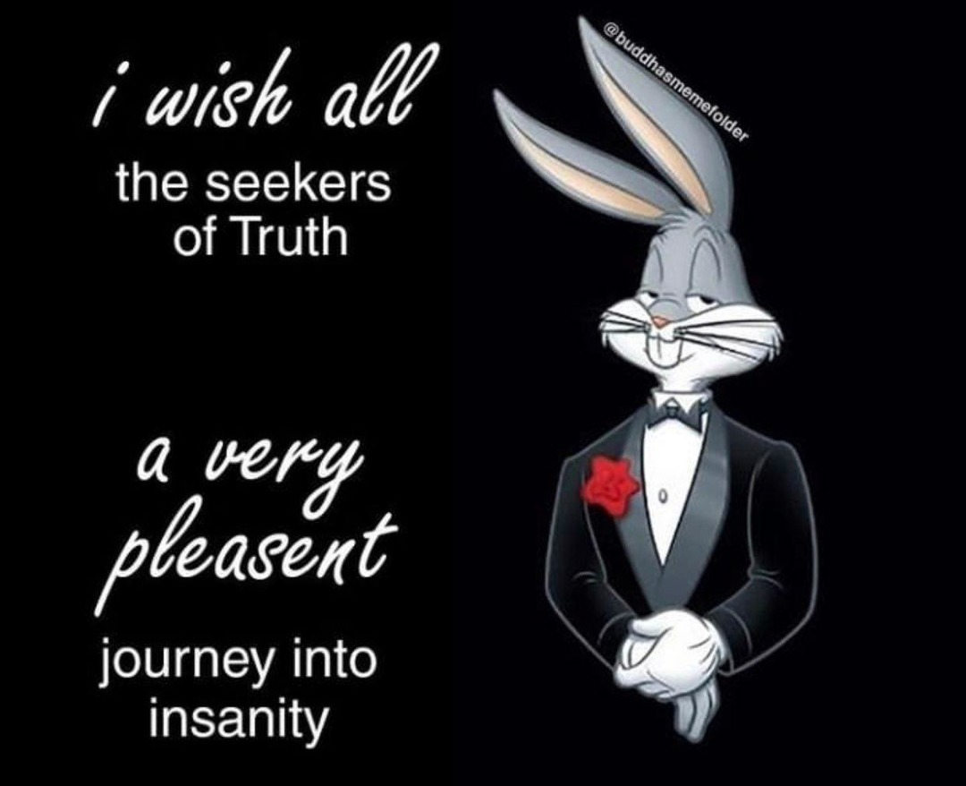 Follow the white rabbit, frens  - meme
