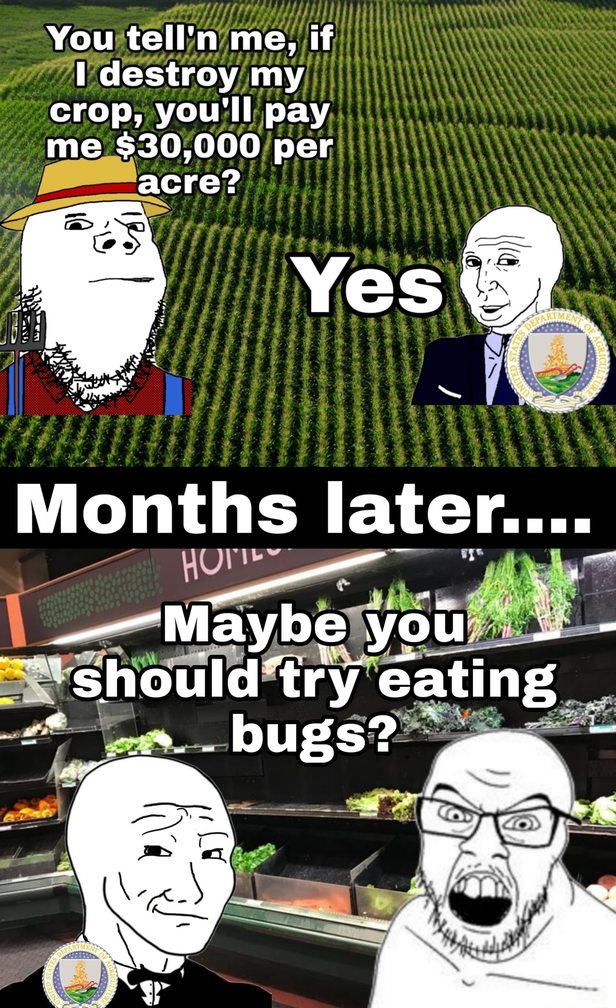 Eating bugs - meme
