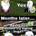 Eating bugs