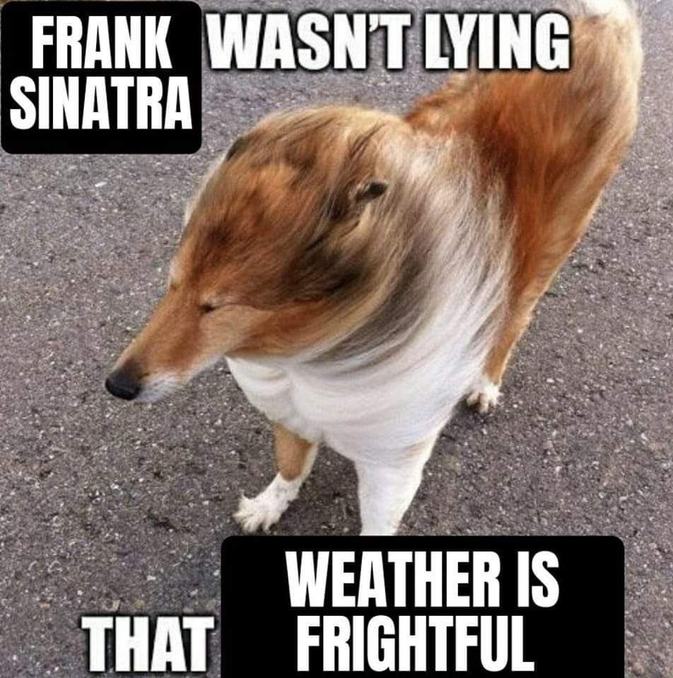 Midwesterners wya - meme