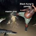 New kung fu panda