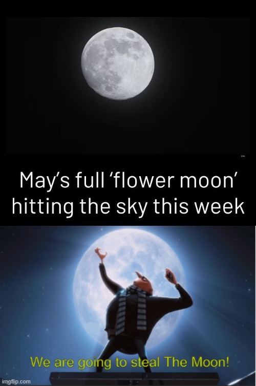 Full moon May 2024 meme