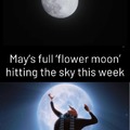 Full moon May 2024 meme