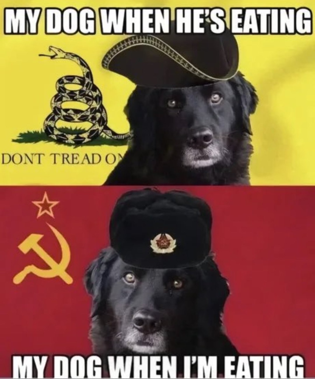 Commie doggo - meme