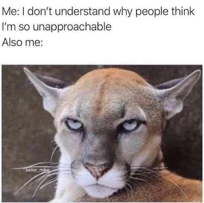 Me: I'm approachable. Also me: Nope. - meme