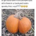Looks like im smashing pumpkins