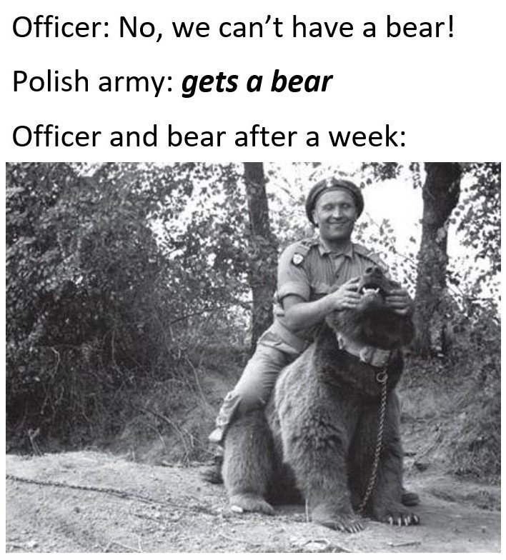 Wojtek the bear for those interested in reading about him - meme