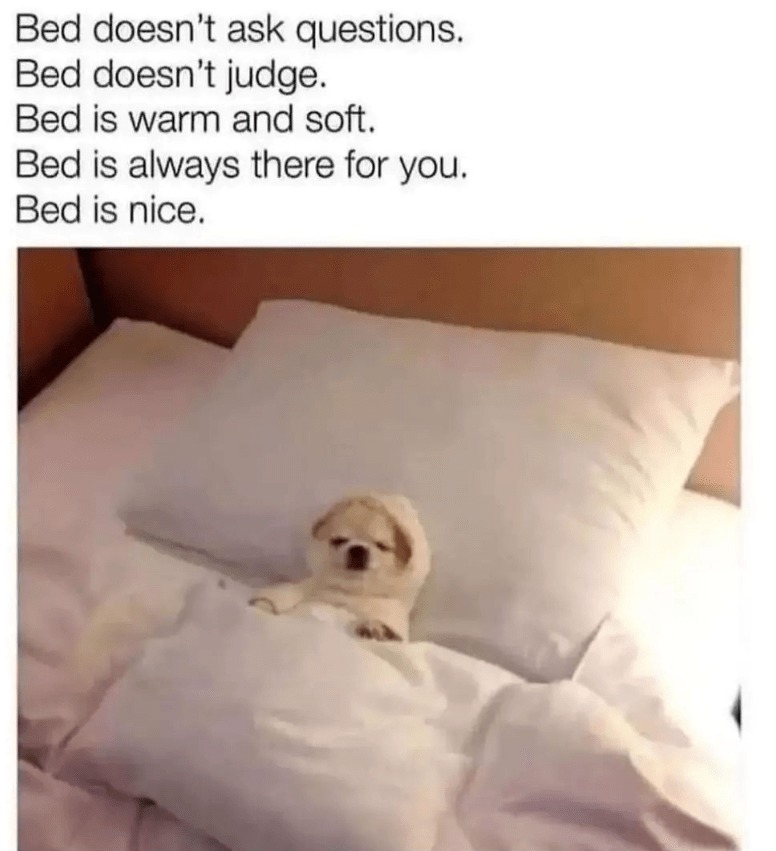 Bed is love - meme