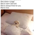 Bed is love