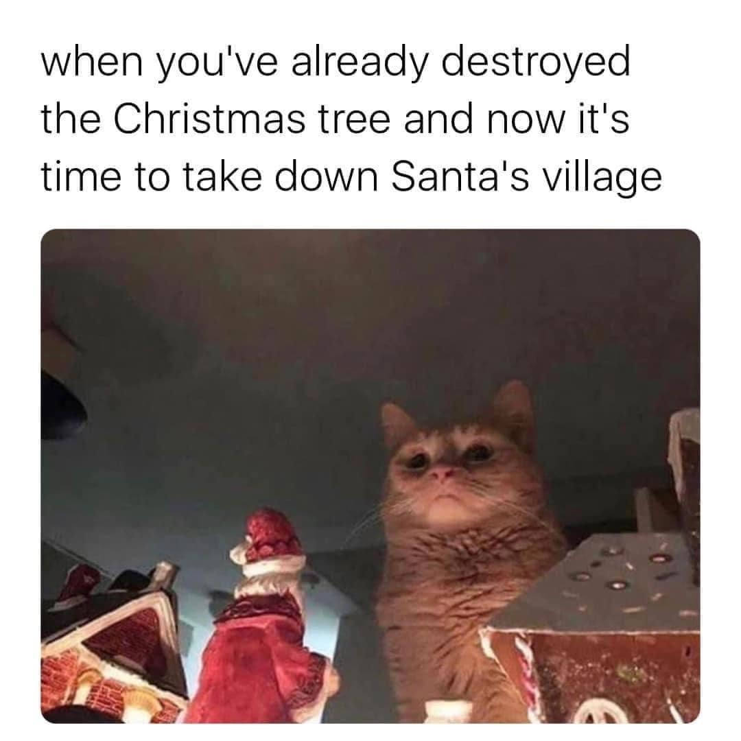 Fear me! If you dare. - meme