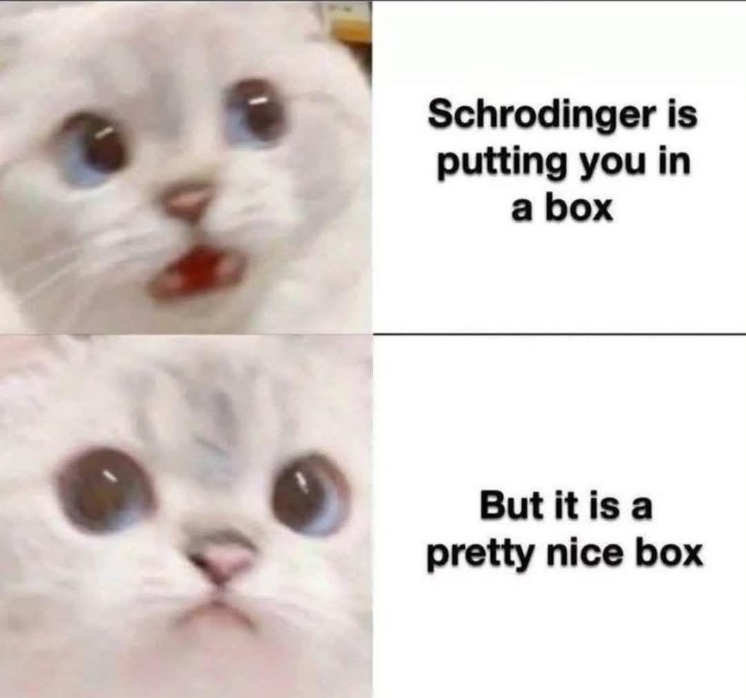 Schrodinger put me in a box but at least it's cozy - meme