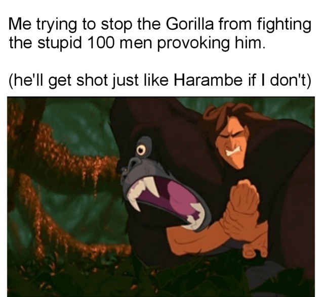 Trying to stop the gorilla fight so we don’t get another Harambe - meme