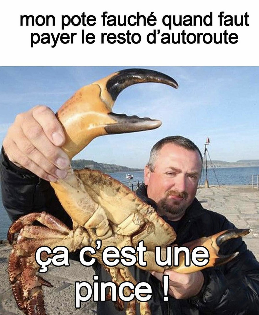 Il sort même pas un centime pour le péage ce rat - meme