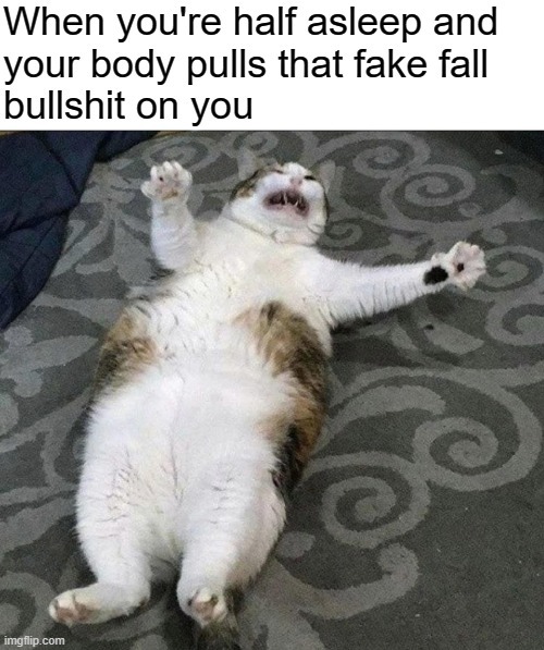 When you're half asleep and your body pulls that fake fall bullshit on you - meme