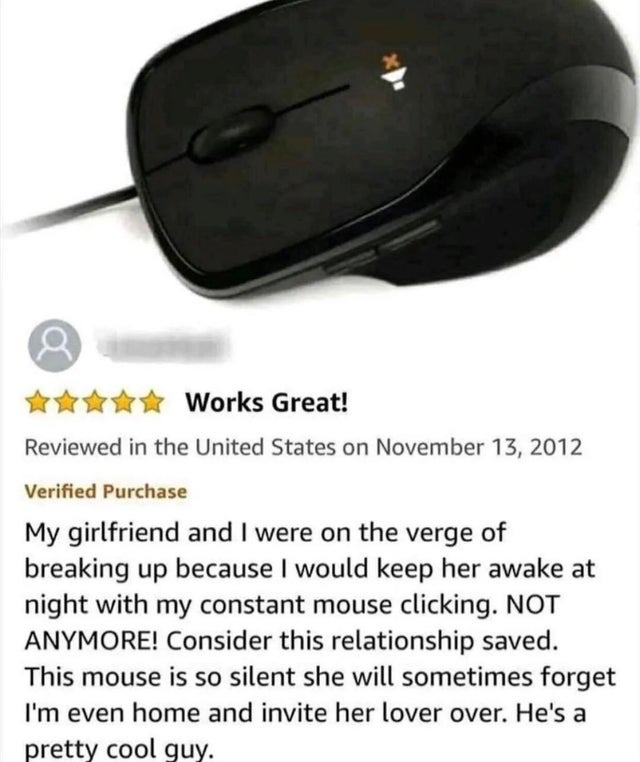 Funny Mouse review - meme