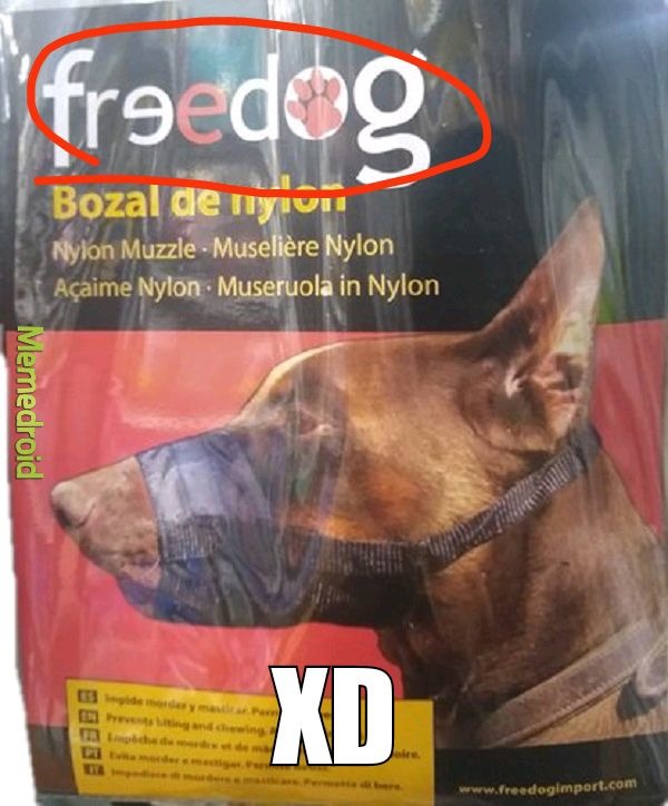 Freedog significa "perro libre" XD - meme